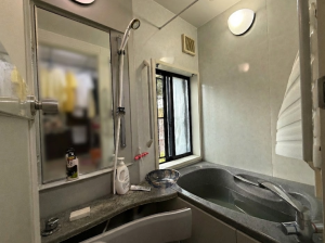 既存システムバス